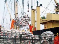 Loading and unloading of bulk cargo, floating cranes